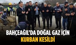 Bahçeağıl’da doğal gaz için kurban kesildi
