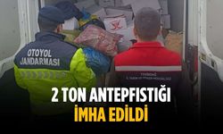 2 ton antepfıstığı imha edildi