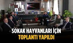 Sokak hayvanları için toplantı yapıldı