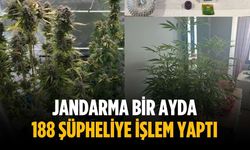 Jandarma bir ayda 188 şüpheliye işlem yaptı
