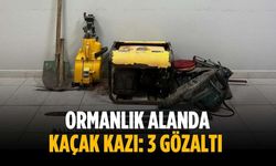 Ormanlık alanda kaçak kazı: 3 gözaltı