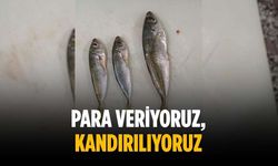 “Para veriyoruz, kandırılıyoruz”