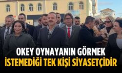 “Okey oynayanın görmek istemediği tek kişi siyasetçidir”