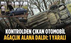 Kontrolden çıkan otomobil ağaçlık alana daldı: 1 yaralı