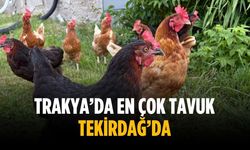 Trakya’da en çok tavuk Tekirdağ’da