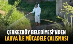 Çerkezköy Belediyesi’nden larva ile mücadele çalışması