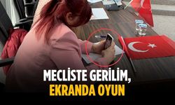 Mecliste gerilim, ekranda oyun