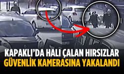 Kapaklı’da halı çalan hırsızlar güvenlik kamerasına yakalandı