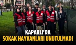 Kapaklı’da sokak hayvanları unutulmadı