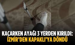 Kaçarken ayağı 3 yerden kırıldı: İzmir’den Kapaklı’ya döndü