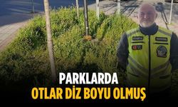 “Parklarda otlar diz boyu olmuş”