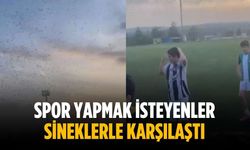 Spor yapmak isteyenler sineklerle karşılaştı