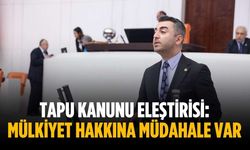 Tapu Kanunu eleştirisi: Mülkiyet hakkına müdahale var