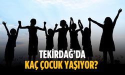 Tekirdağ’da kaç çocuk yaşıyor?