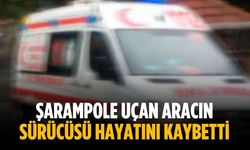 Şarampole uçan aracın sürücüsü hayatını kaybetti