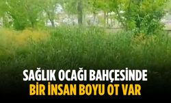 “Sağlık ocağı bahçesinde bir insan boyu ot var”