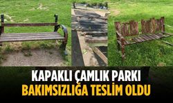 Kapaklı Çamlık Parkı bakımsızlığa teslim oldu