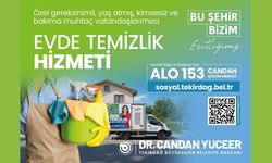 Evde Temizlik Hizmeti