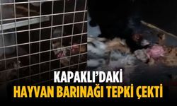 Kapaklı’daki hayvan barınağı tepki çekti