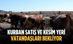 Kurban satış ve kesim yeri vatandaşları bekliyor