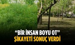 “Bir insan boyu ot” Şikayeti sonuç verdi