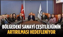 Bölgedeki sanayi çeşitliliğinin artırılması hedefleniyor