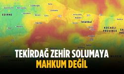“Tekirdağ zehir solumaya mahkum değil”