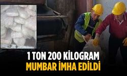 1 ton 200 kilogram mumbar imha edildi
