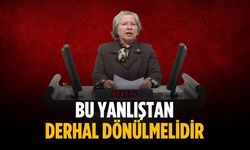 “Bu yanlıştan derhal dönülmelidir”