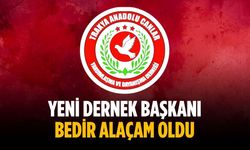 Yeni dernek başkanı Bedir Alaçam oldu