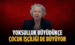 “Yoksulluk büyüdükçe çocuk işçiliği de büyüyor”