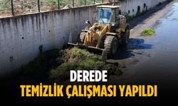 Derede temizlik çalışması yapıldı
