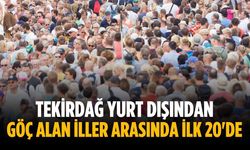 Tekirdağ yurt dışından göç alan iller arasında ilk 20'de