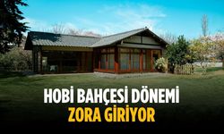 Hobi bahçesi dönemi zora giriyor