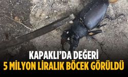 Kapaklı’da değeri 5 milyon liralık böcek görüldü