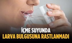 İçme suyunda larva bulgusuna rastlanmadı