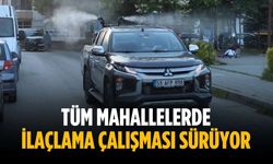 Tüm mahallelerde ilaçlama çalışması sürüyor