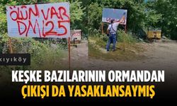 “Keşke bazılarının ormandan çıkışı da yasaklansaymış”