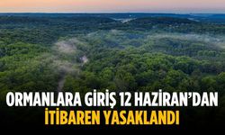 Ormanlara giriş 12 Haziran’dan itibaren yasaklandı