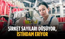Şirket sayıları düşüyor, istihdam eriyor