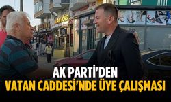 AK Parti'den Vatan Caddesi'nde üye çalışması