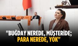 "Buğday nerede, müşteride; para nerede, yok"