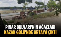 Pınar Bulvarı'nın ağaçları Kazak Gölü'nde ortaya çıktı