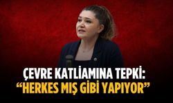 Çevre katliamına tepki: “Herkes mış gibi yapıyor”