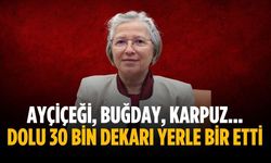 Ayçiçeği, buğday, karpuz... Dolu 30 bin dekarı yerle bir etti