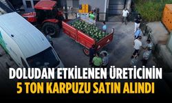 Doludan etkilenen üreticinin 5 ton karpuzu satın alındı