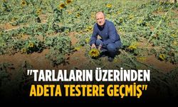 "Tarlaların üzerinden adeta testere geçmiş"