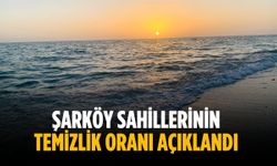 Şarköy sahillerinin temizlik oranı açıklandı