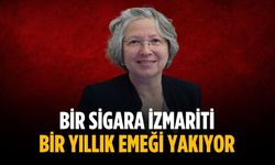 “Bir sigara izmariti bir yıllık emeği yakıyor”