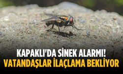 Kapaklı'da sinek alarmı! Vatandaşlar ilaçlama bekliyor